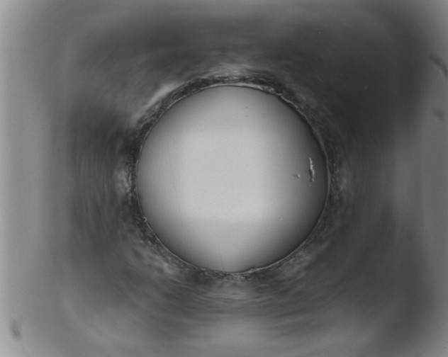 X0000103491206200809261942