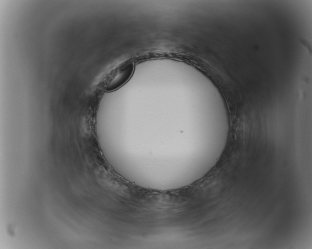 X0000103491207200809261942