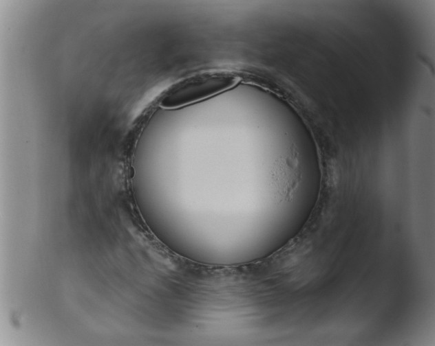 X0000103491208200809261942