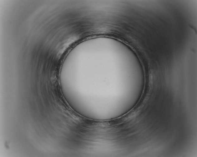 X0000103491210200809261942