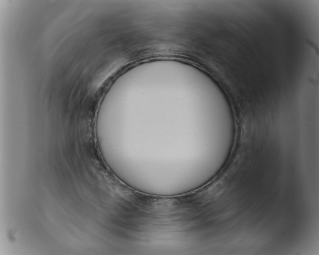 X0000103491211200809261942