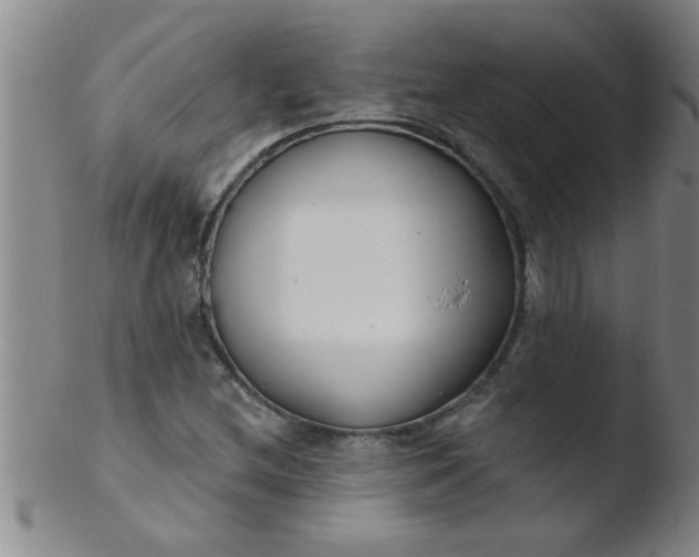 X0000103491212200809261942