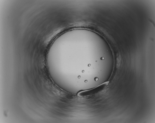 X0000103491213200809261942