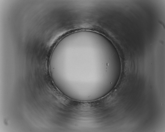 X0000103491214200809261942