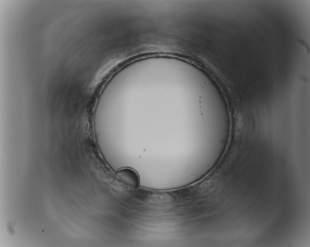 X0000103491215200809261942