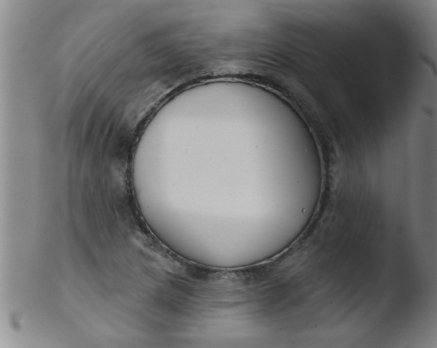 X0000103491217200809261943