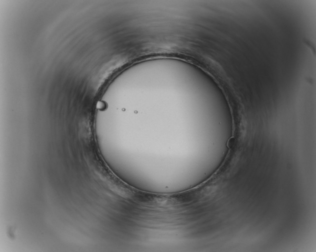 X0000103491218200809261943