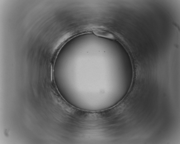 X0000103491219200809261943