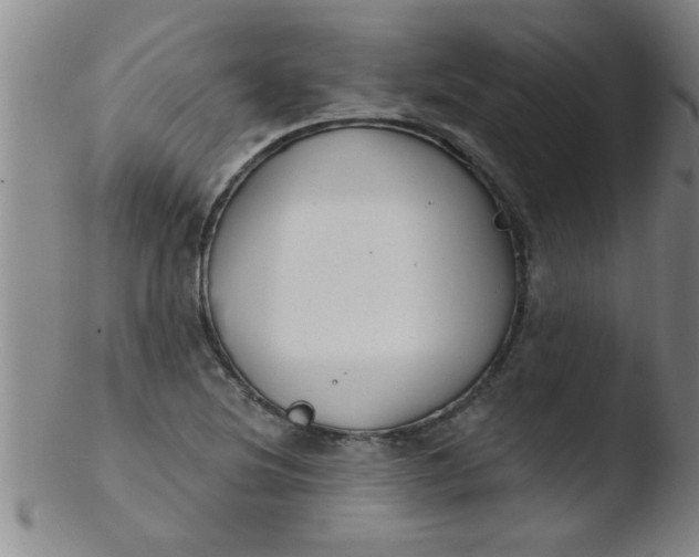 X0000103491220200809261943