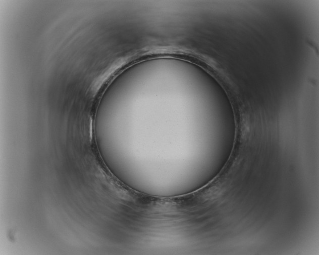 X0000103491221200809261943