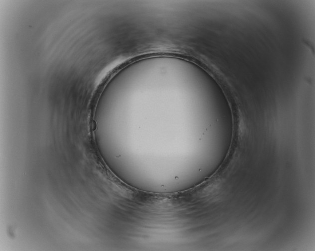 X0000103491222200809261943