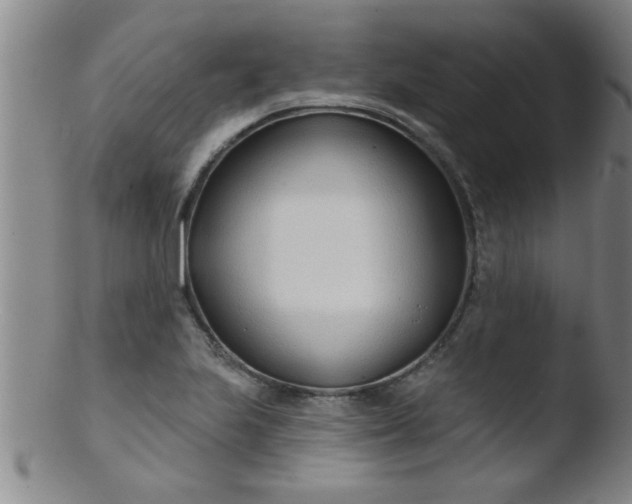 X0000103491223200809261943