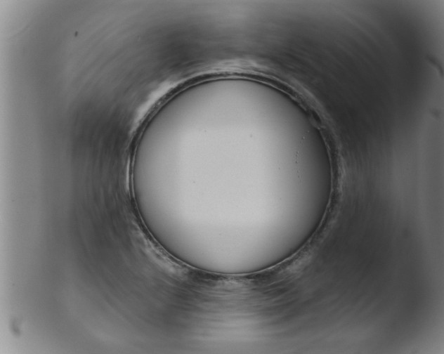 X0000103491224200809261943