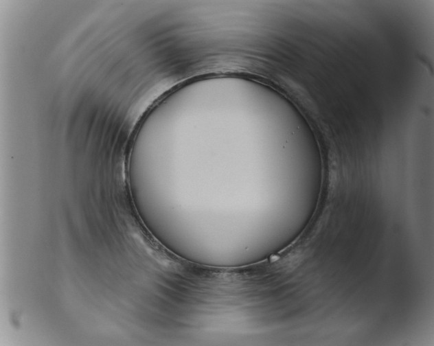 X0000103491226200809261943