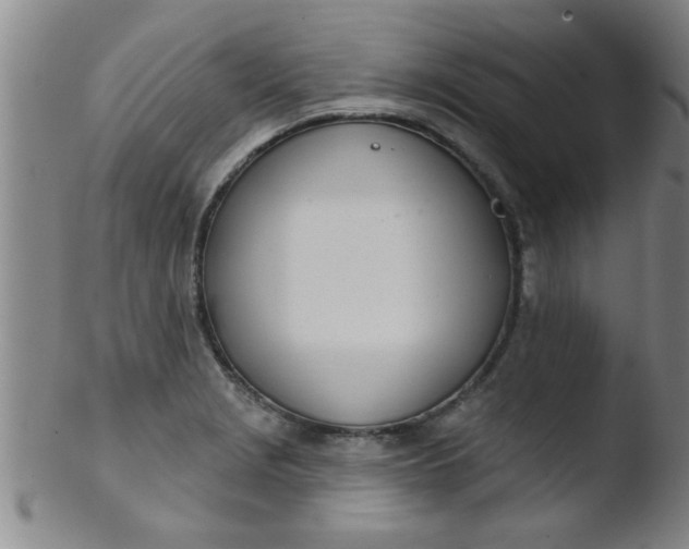 X0000103491229200809261943