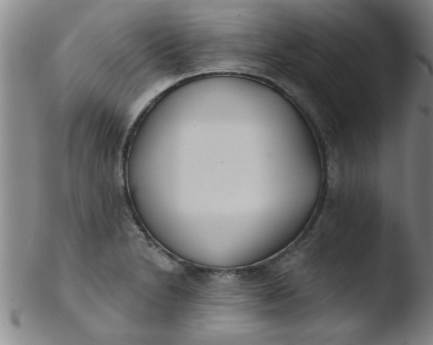 X0000103491230200809261943