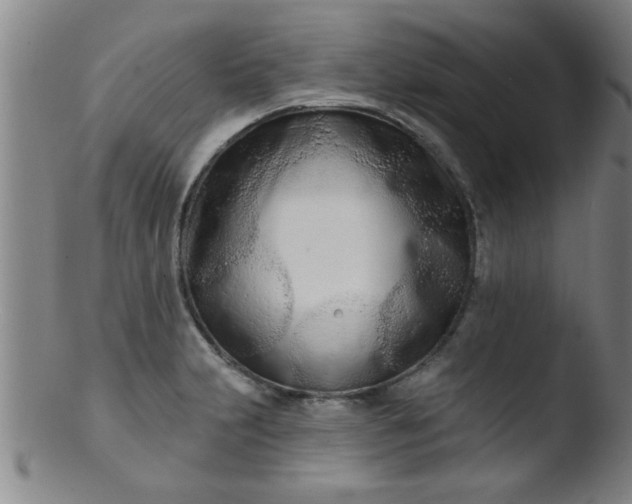 X0000103491231200809261943