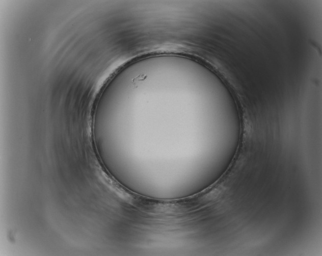 X0000103491232200809261943