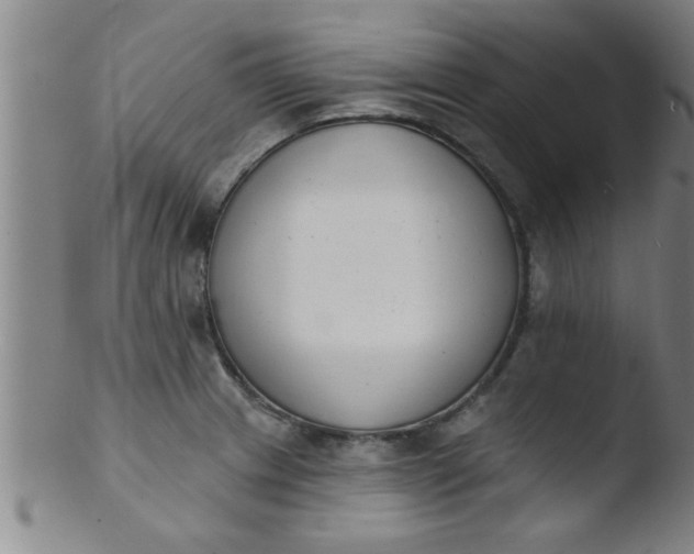 X0000103491233200809261943