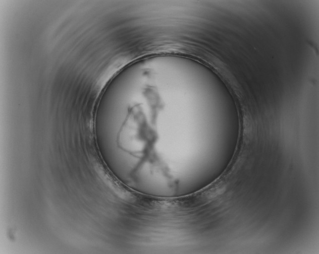 X0000103491234200809261943