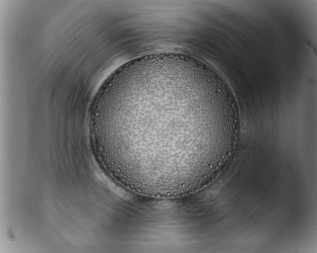 X0000103491235200809261943