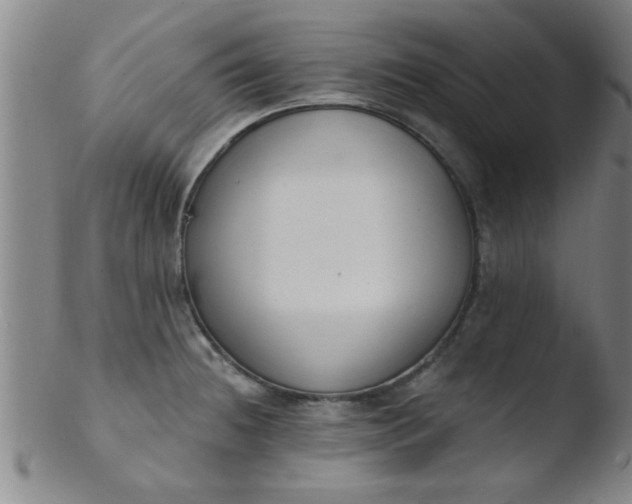 X0000103491236200809261943