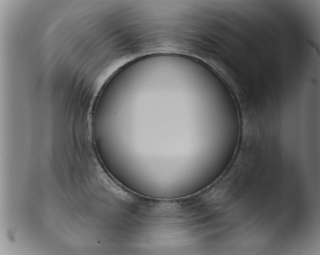 X0000103491238200809261943