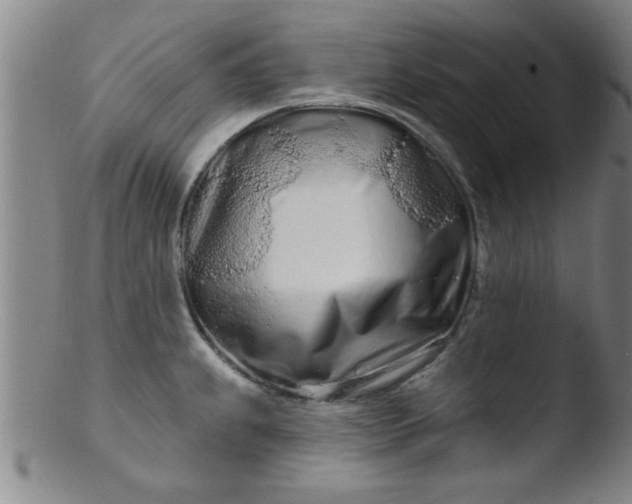 X0000103491239200809261943