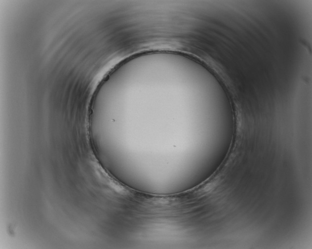 X0000103491240200809261943