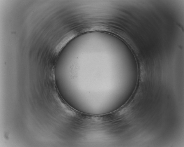 X0000103491241200809261943