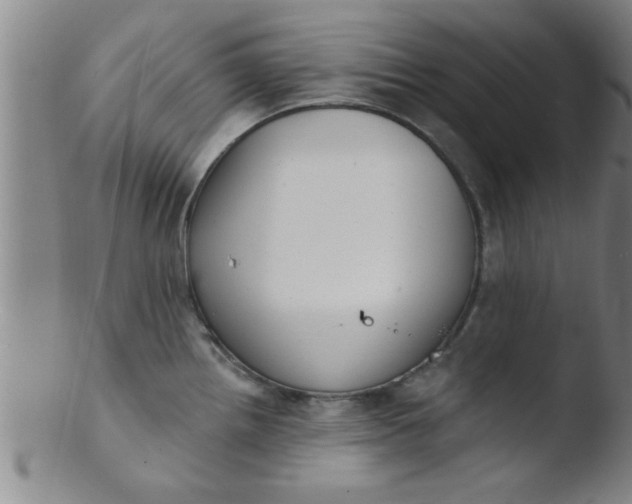 X0000103491242200809261943