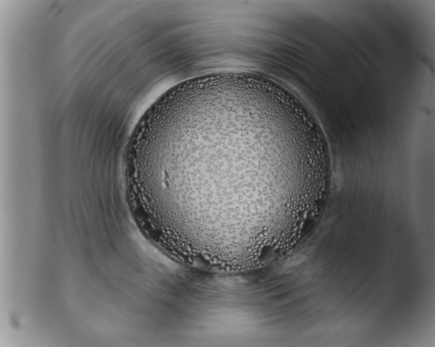 X0000103491243200809261943