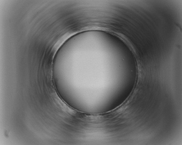 X0000103491244200809261943