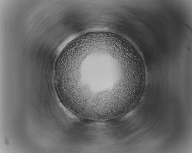 X0000103491245200809261943