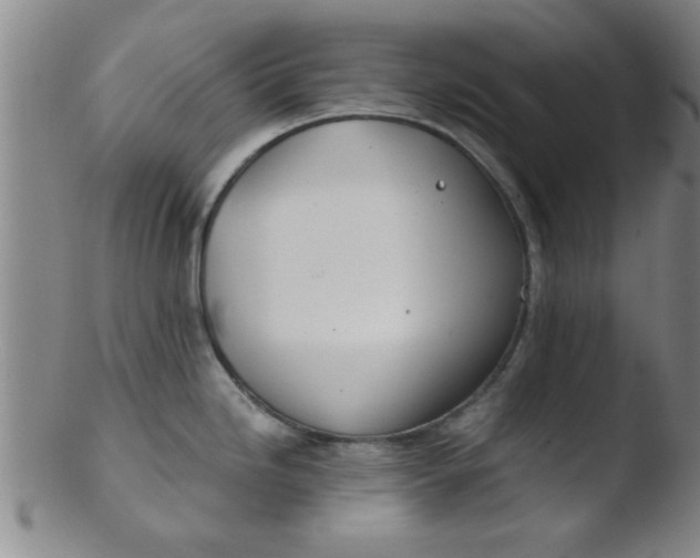 X0000103491246200809261943