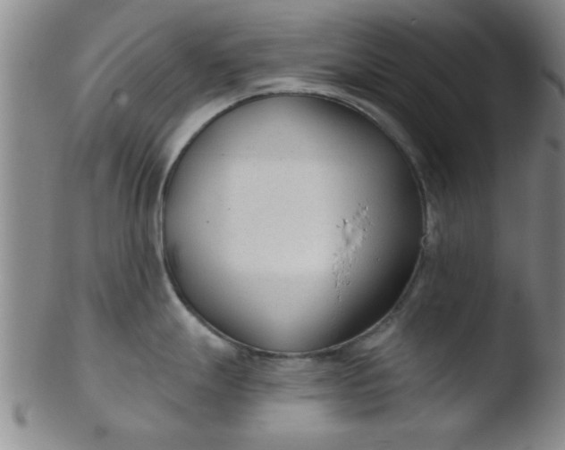 X0000103491247200809261943