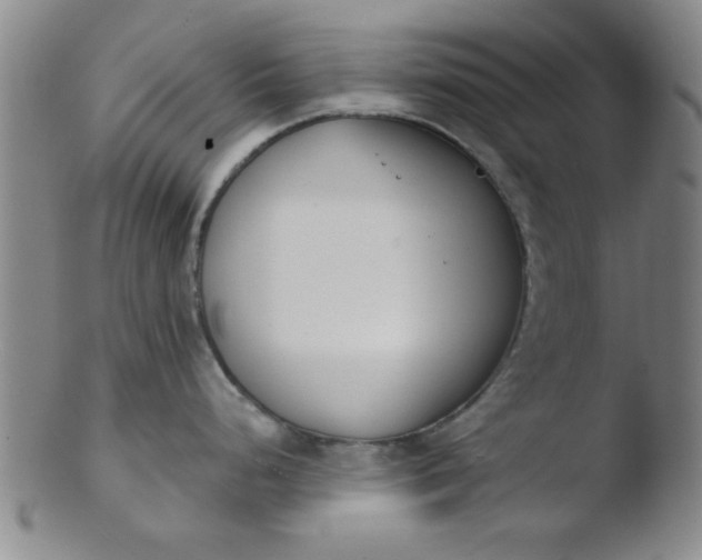 X0000103491248200809261943