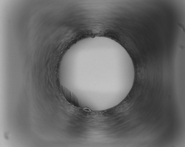 X0000103491249200809261942