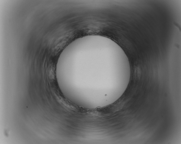 X0000103491250200809261942