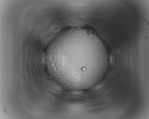 X0000103491251200809261942