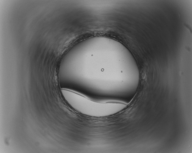 X0000103491252200809261942