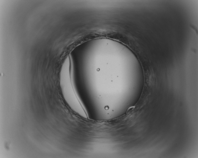 X0000103491253200809261942