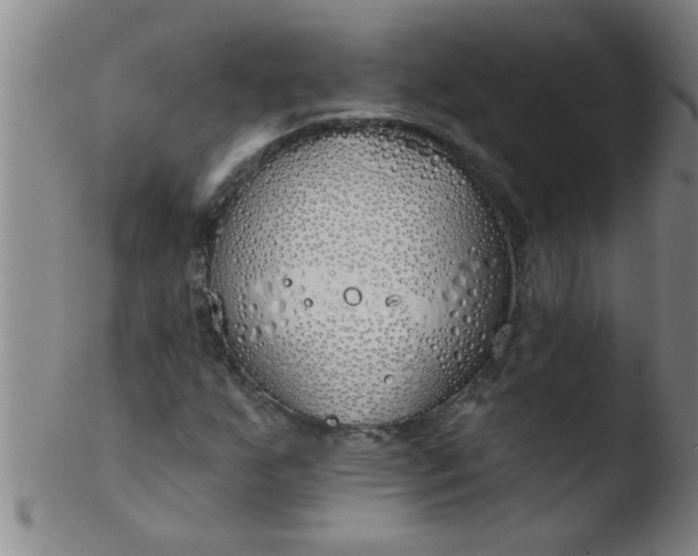 X0000103491255200809261942