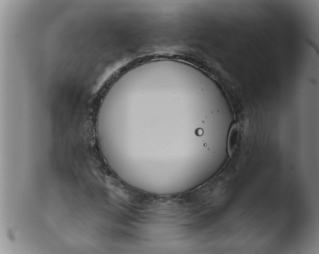 X0000103491256200809261942