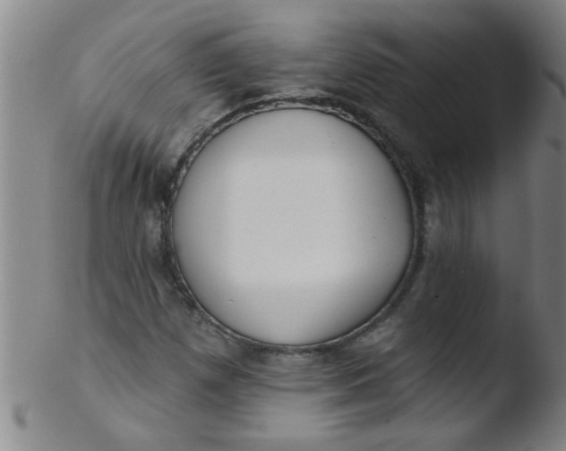 X0000103491257200809261942