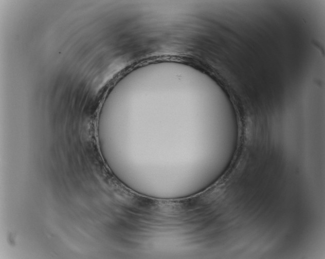 X0000103491258200809261942