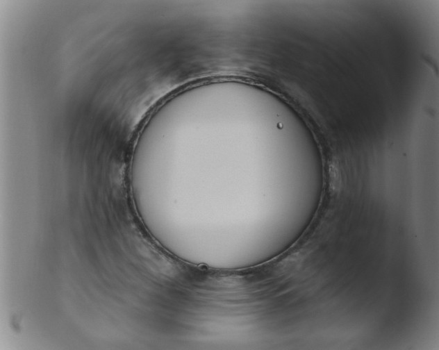 X0000103491260200809261942