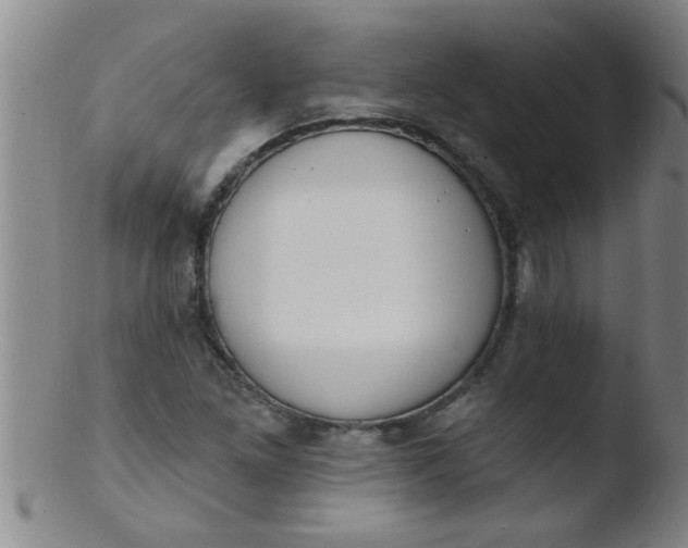 X0000103491261200809261942