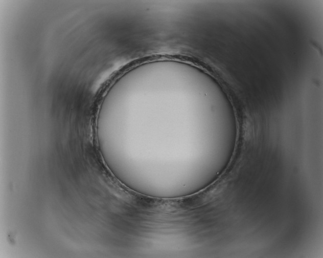 X0000103491262200809261942