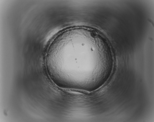 X0000103491263200809261942